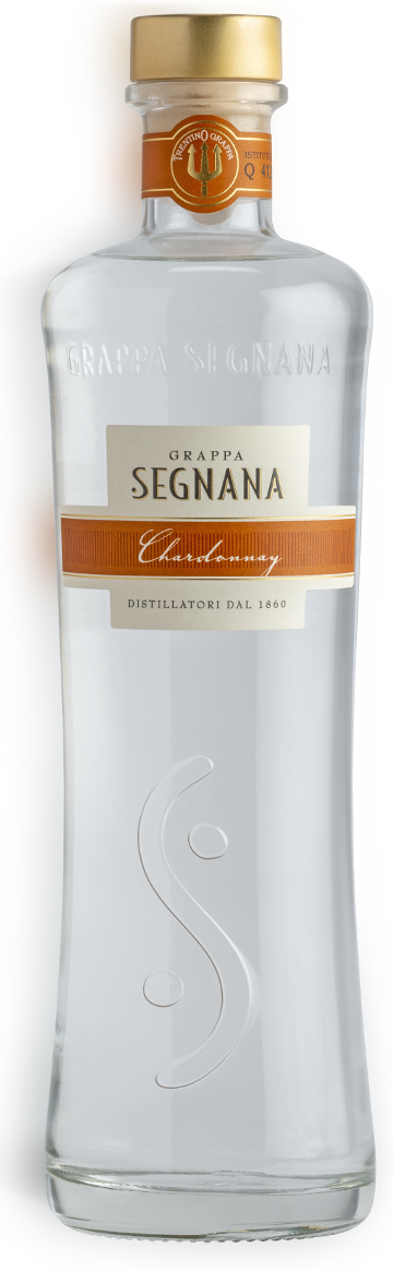 Grappa Trentina Chardonnay Segnana